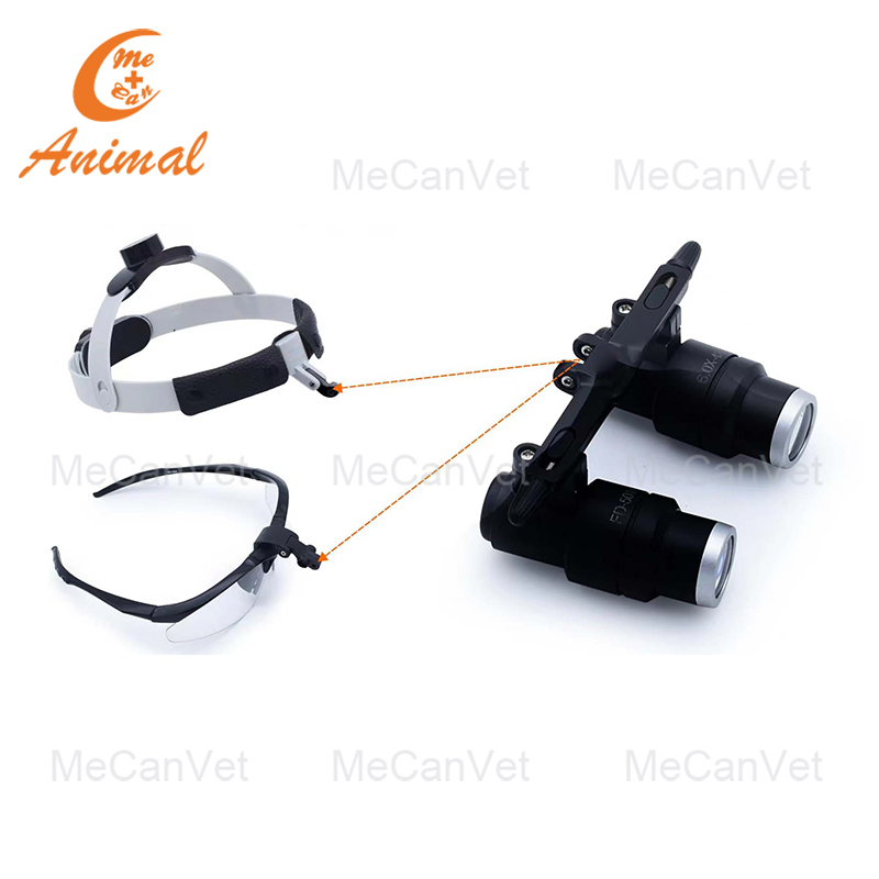 Surgical Medical Magnifier for Veterinary Use
